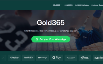 Why Gold365 Has Become a Preferred Platform for Cricket Betting